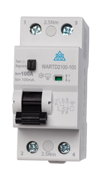A Type Time Delay RCD – 63A 100mA, 2 Pole (WARTD263-100)