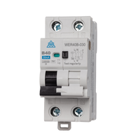 High Immunity RCBO – 20A B Curve, Type A, 30mA (WER20B-030)