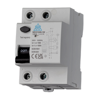 100A 100mA Type B RCD (WEV2100B-100)
