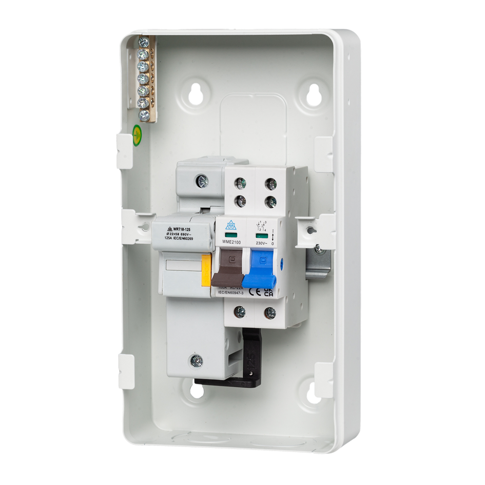 Metal Fuse Switch 100A with Fuseholder (WFMS100)