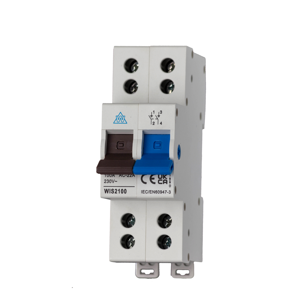 Twin Screw 100A Main Switch 2 Pole WIS2100