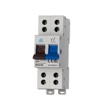 Twin Screw 100A Main Switch 2 Pole WIS2100