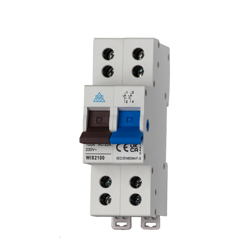 Twin Screw 100A Main Switch 2 Pole WIS2100