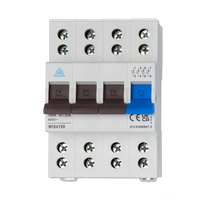 Twin Screw 100A Main Switch 4 Pole WIS4100