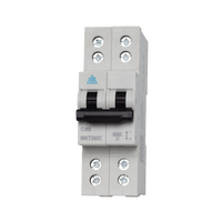 80A B Curve 2 Pole Twin Screw Terminal MCB (WKT280B)