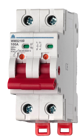 2 Pole 100A Main Switch (WMS2100)