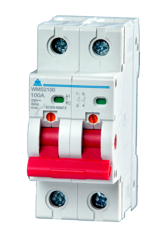 2 Pole 100A Main Switch (WMS2100)